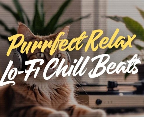 Purrfect Lo-Fi Mix 🐱 | Relaxing tunes for a feline vibe [2024]