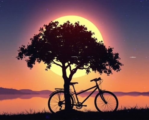 Dreamlike Haven