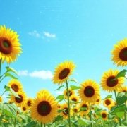 Galactic Victory Anthem