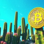 Limitless Hustle Beat