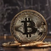 Bitcoin Breez | Bitcoin Lofi | Paradise Lofi Session 9