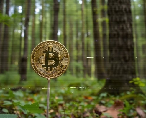 Bitcoin Forests Melodic Lofi Aura