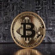 Bitcoin is Bigger than Fiat | Bitcoiner Lofi Session