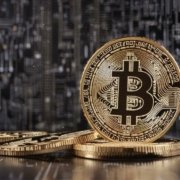 Humble Bitcoin Billionaire | Paradise Lofi Session 8