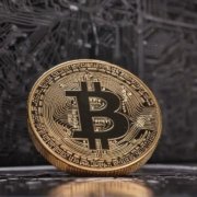 It's Raining Sats | Bitcoin Lofi | Paradise Lofi Session 2