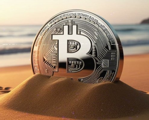 Peace of Mind and Bitcoin (Lofi Session)