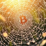 Legacy Rising Groove