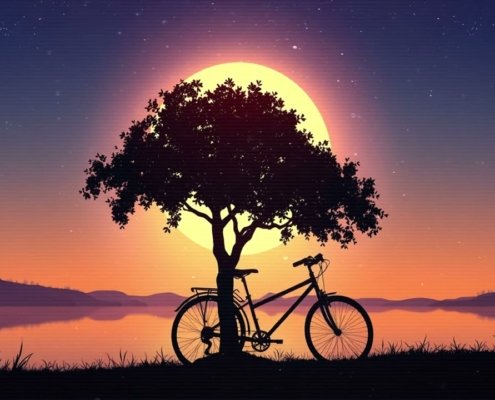 Supreme Legacy Drive