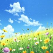 Wealth Horizon Ascension