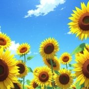 Prosperity Unlimited