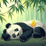 Bitcoin Maximalist Panda Wealth beat