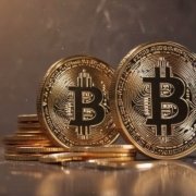 Bitcoin Music | Sound Money Lofi 5