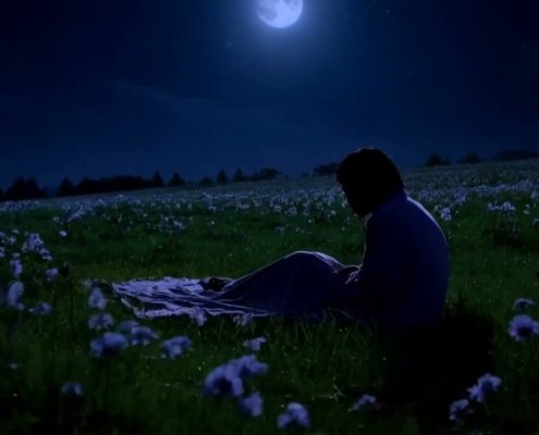 Midnight And Joys