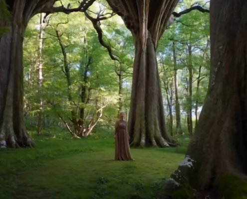 Enchanted Distant