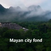 Ocean Sunsets Grooves