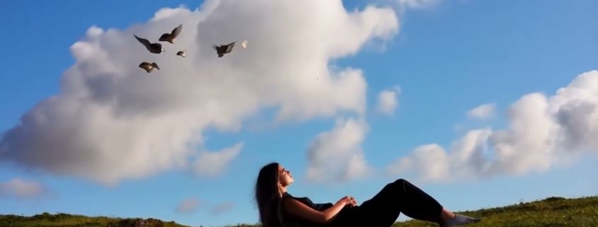 Stillness Crackle Placid